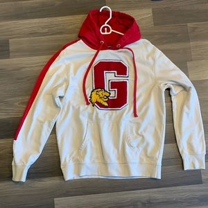 Gryffindor Harry Potter Sweater.